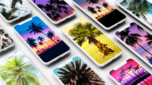 Palm Tree Wallpapers - Image screenshot of android app