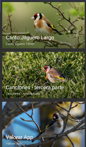 Goldfinch educate - Image screenshot of android app