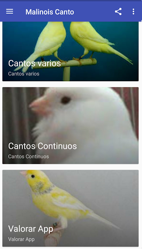 Canary Malinois Singing - Image screenshot of android app