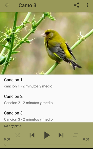 Canary Verderon HD - Image screenshot of android app