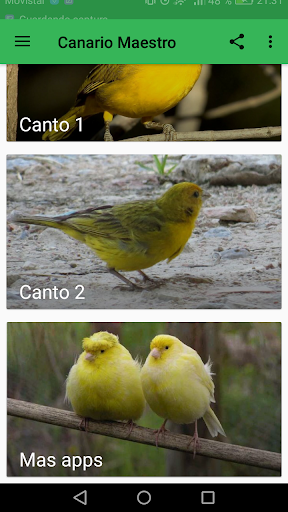 Master Canary - عکس برنامه موبایلی اندروید