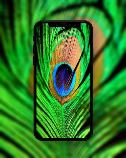 Green Wallpapers HD - Image screenshot of android app