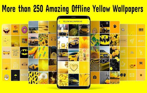 Yellow Wallpapers HD - Image screenshot of android app