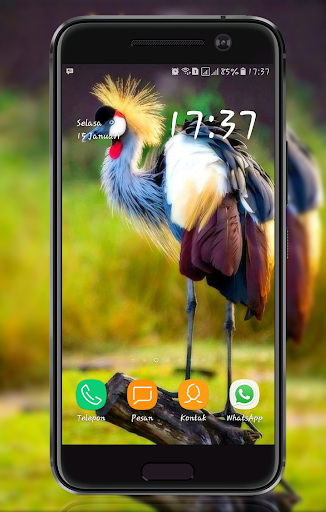 Bird Wallpaper - Image screenshot of android app