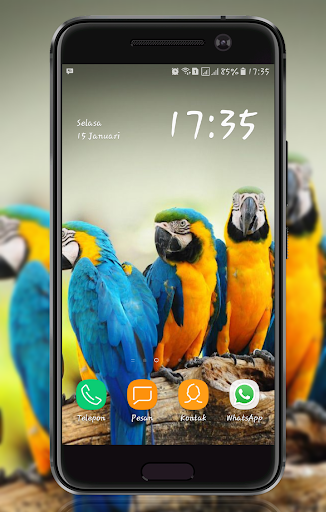 Bird Wallpaper - Image screenshot of android app