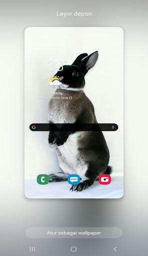 New Rabbit Wallpaper - Image screenshot of android app