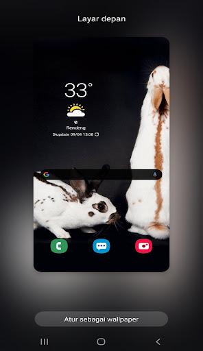 New Rabbit Wallpaper - Image screenshot of android app