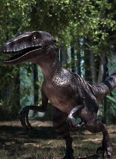 Raptor Wallpapers - عکس برنامه موبایلی اندروید