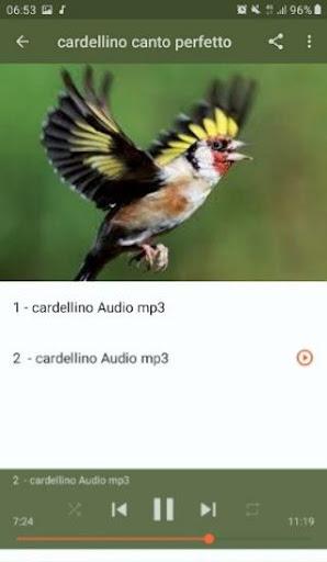 The singing goldfinch - عکس برنامه موبایلی اندروید