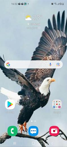 Eagle Wallpaper 2023 - Image screenshot of android app