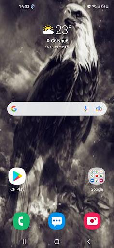 Eagle Wallpaper 2023 - Image screenshot of android app