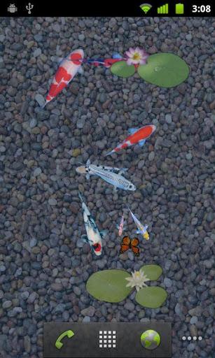 aniPet Koi LiveWallpaper - عکس برنامه موبایلی اندروید