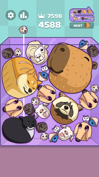 Capy Merge: Animal Drop Puzzle - Gameplay image of android game