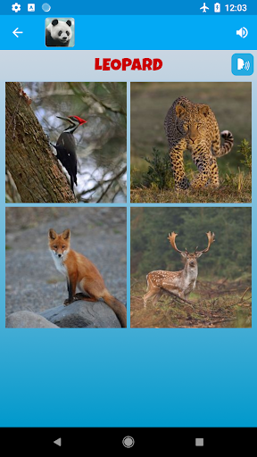 Animal Sounds - عکس برنامه موبایلی اندروید