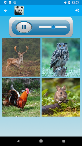 Animal Sounds - عکس برنامه موبایلی اندروید