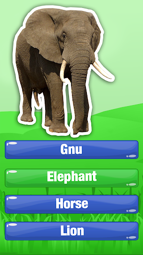 Guess The Animal Quiz Games - Image screenshot of android app