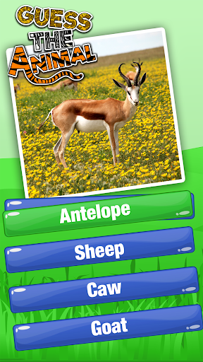 Guess The Animal Quiz Games - عکس برنامه موبایلی اندروید