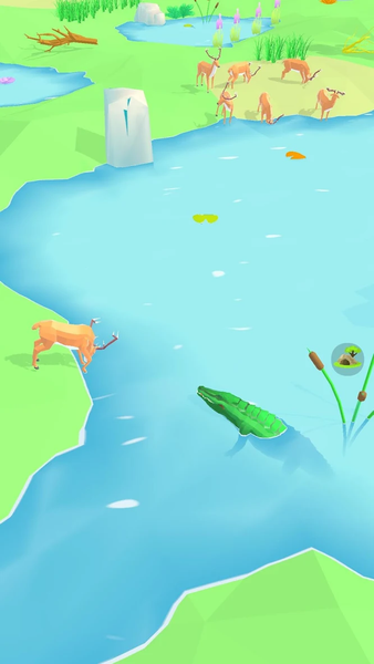 Animal Wildlife - Gameplay image of android game