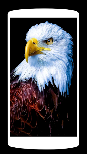 Animal live Wallpaper ۴K - عکس برنامه موبایلی اندروید