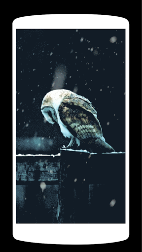 Animal live Wallpaper ۴K - عکس برنامه موبایلی اندروید
