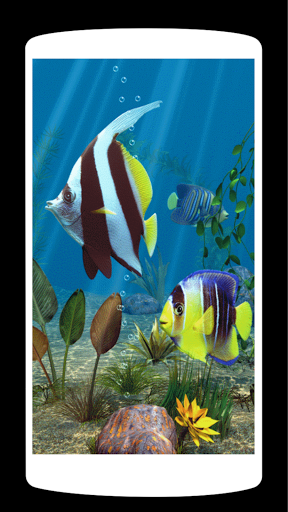 Animal live Wallpaper ۴K - عکس برنامه موبایلی اندروید