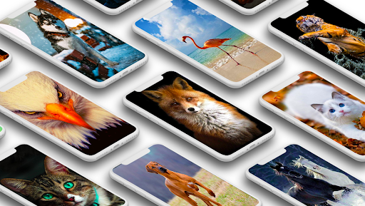 Animal wallpapers - عکس برنامه موبایلی اندروید