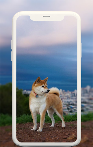Animal wallpapers - عکس برنامه موبایلی اندروید