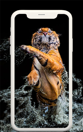 Animal wallpapers - عکس برنامه موبایلی اندروید