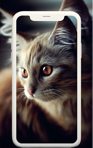 Animal wallpapers - عکس برنامه موبایلی اندروید