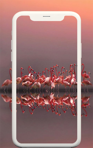 Animal wallpapers - عکس برنامه موبایلی اندروید
