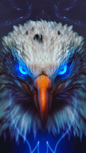 🦅 Eagle Wallpapers – Bird Wallpaper - عکس برنامه موبایلی اندروید