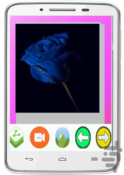 والپیپرهای رزآبی - عکس برنامه موبایلی اندروید