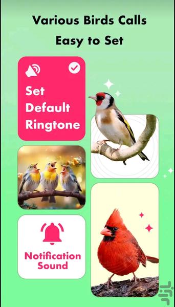 New Birds Sounds Ringtone - Image screenshot of android app