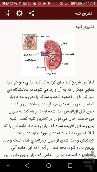 درمان طبیعی بیماری کلیه - Image screenshot of android app