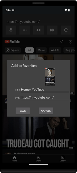 Basic Web Browser - Image screenshot of android app