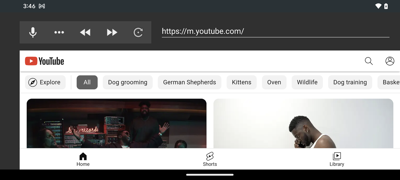 Basic Web Browser - Image screenshot of android app