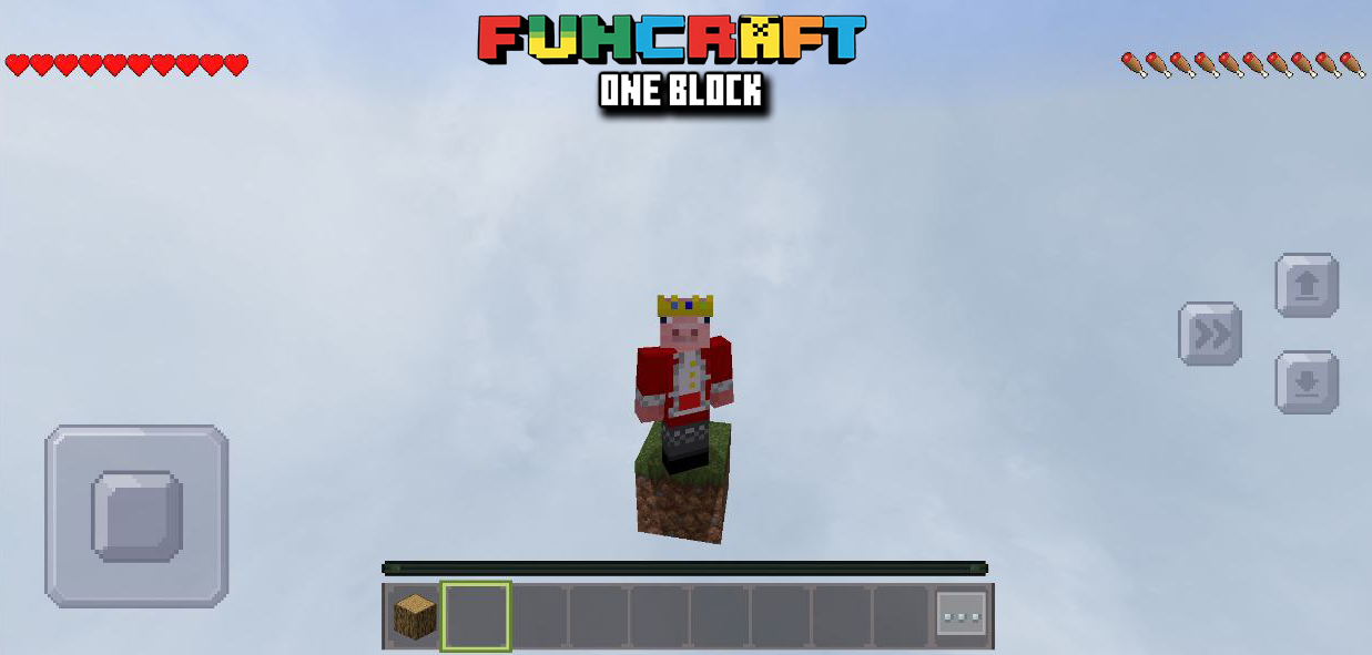 FUNCRAFT : One Block Survival - عکس بازی موبایلی اندروید