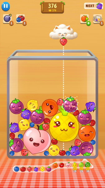 Watermelon Up-Juicy Fruit Drop - Gameplay image of android game