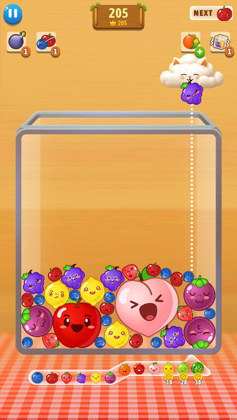Watermelon Up-Juicy Fruit Drop - Gameplay image of android game