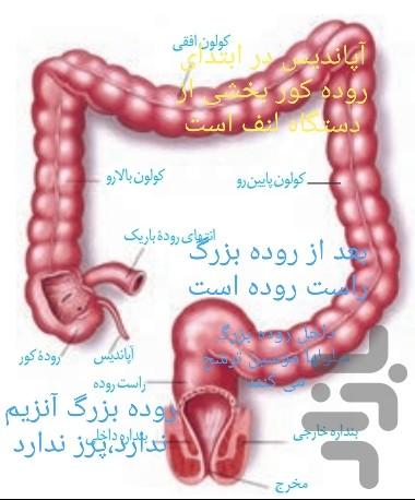 ببین و بگو ۱۰ - عکس برنامه موبایلی اندروید