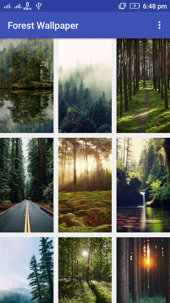 Forest Wallpaper - Image screenshot of android app