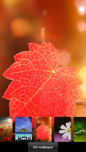 Spring live wallpaper lock - Image screenshot of android app