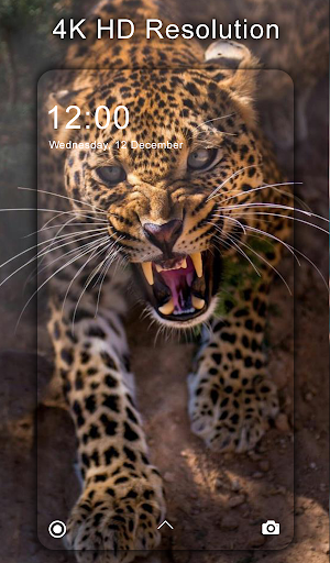 4K Wallpapers - Full HD Wallpapers & Backgrounds - Image screenshot of android app