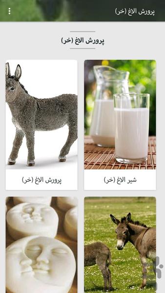 پرورش الاغ (خر) - عکس برنامه موبایلی اندروید