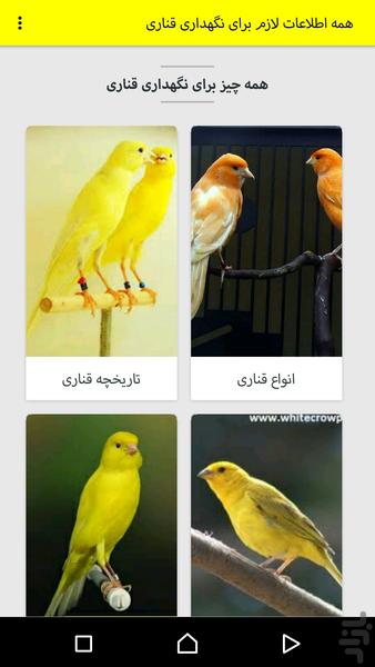 پرورش قناری - عکس برنامه موبایلی اندروید
