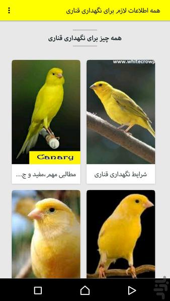 پرورش قناری - عکس برنامه موبایلی اندروید