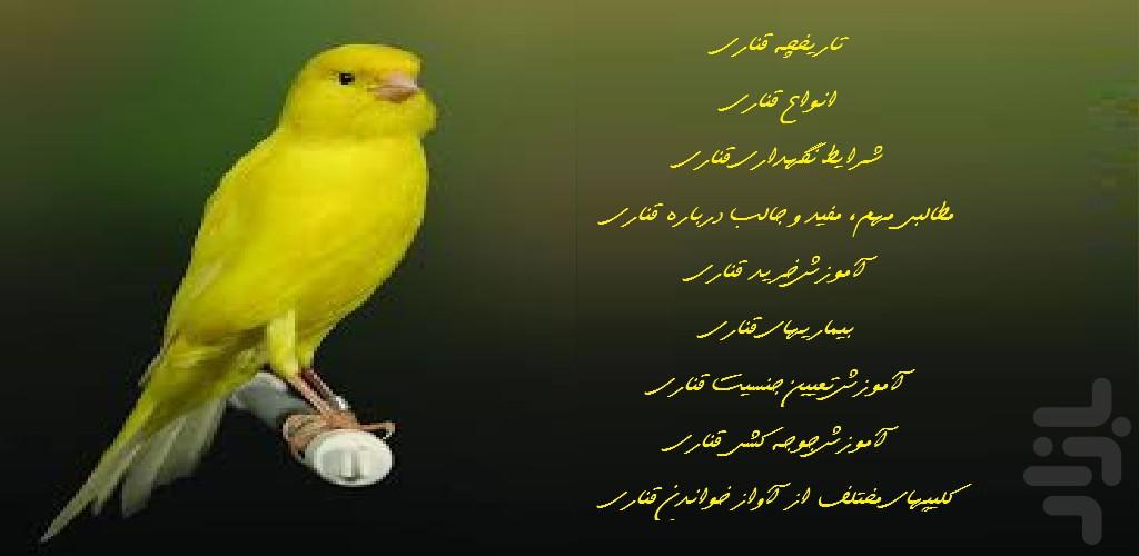 Canary breeding - عکس برنامه موبایلی اندروید
