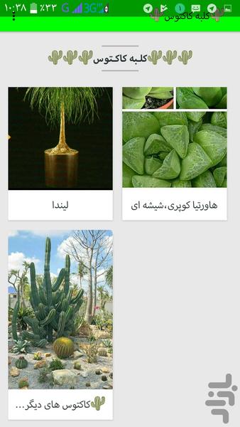 کلبه کاکتوس - Image screenshot of android app