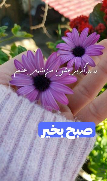 تلگرا م story - عکس برنامه موبایلی اندروید