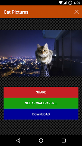 Cat wallpapers and funny pics - عکس برنامه موبایلی اندروید